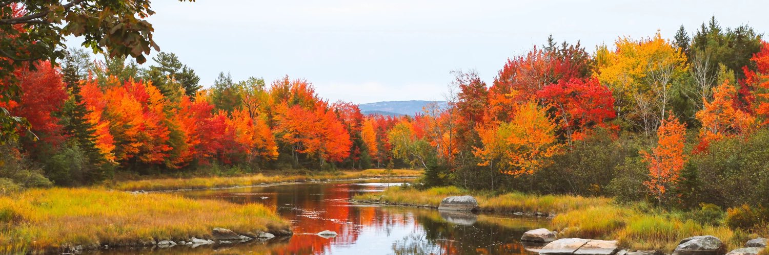 America First Party NH banner