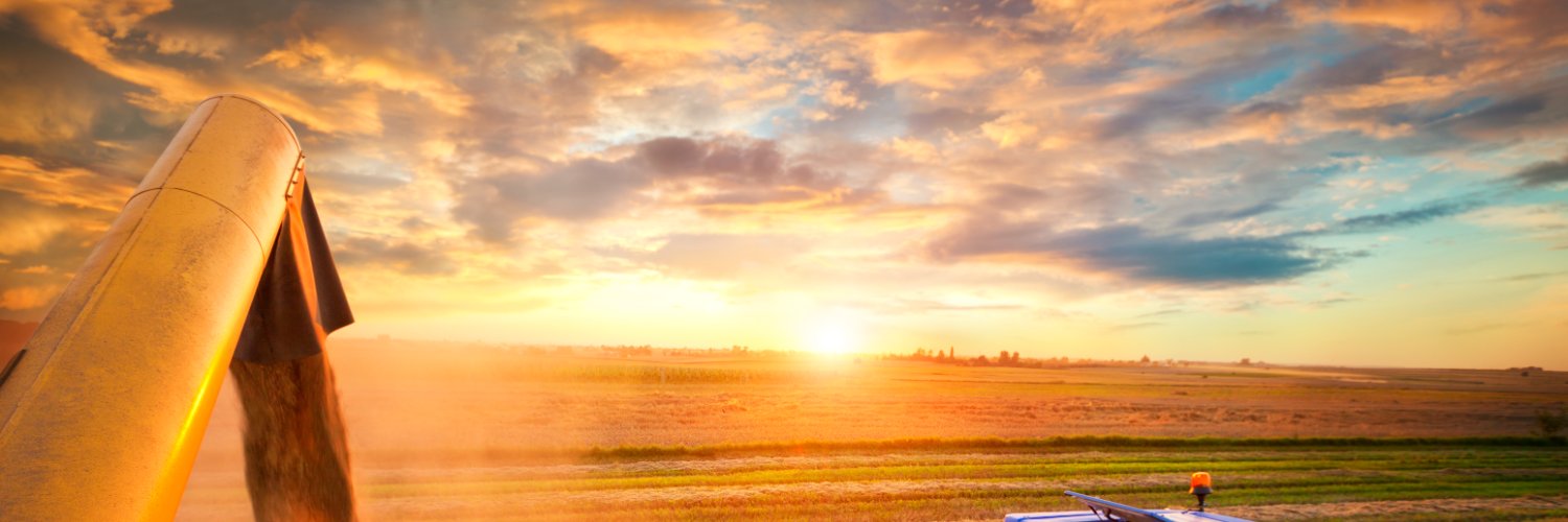 Buffalo Potash Corp (TSXV: BUFF) banner