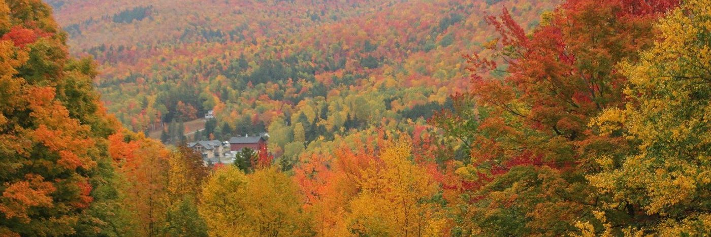 Marcus 🇺🇸 banner