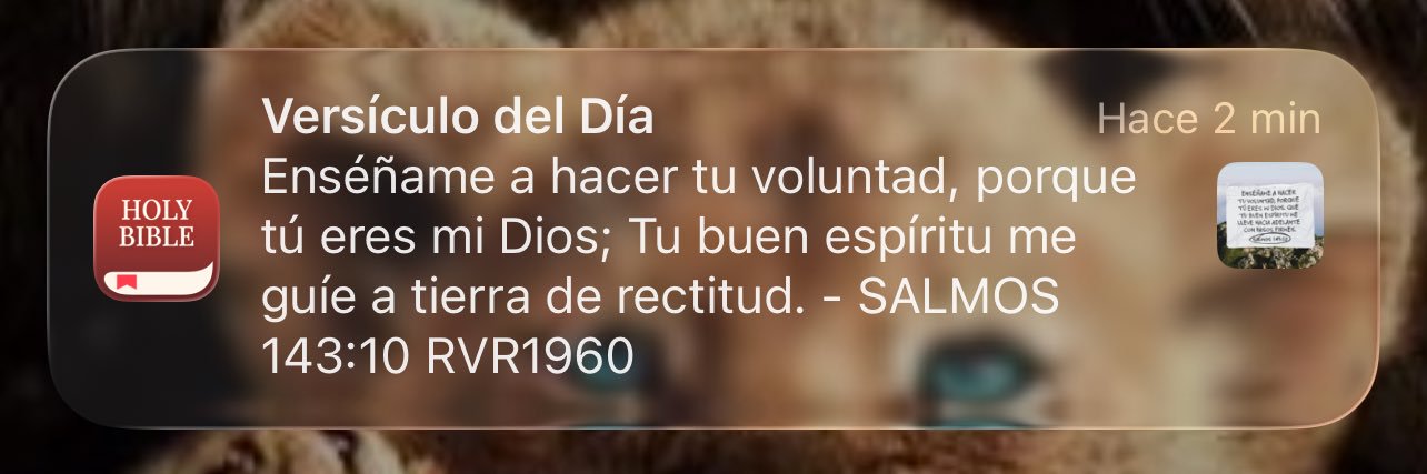 Dios en ti confio 🙌🏻 banner