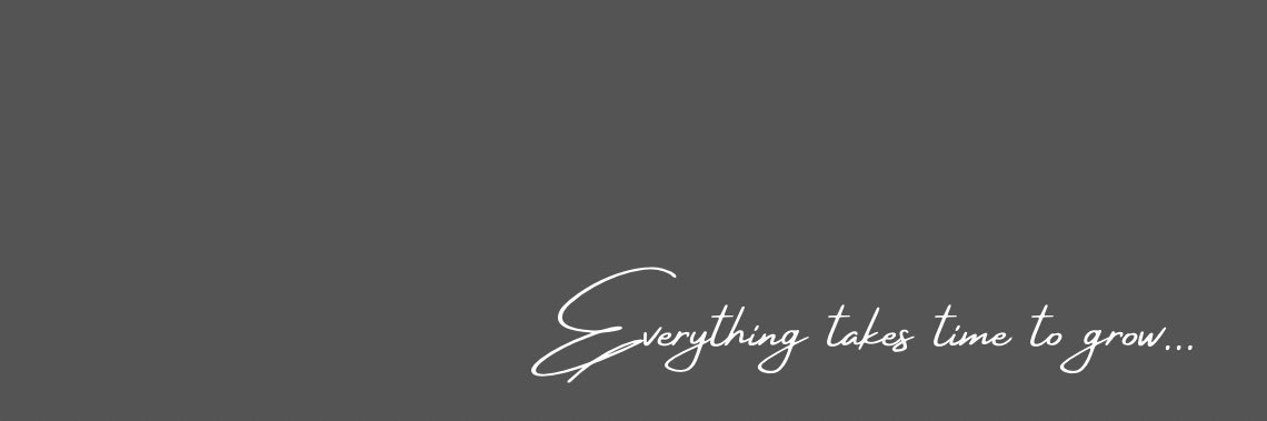 Duha Engawi | ضحى عنقاوي banner