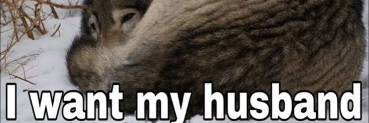 ★ Sebastian banner