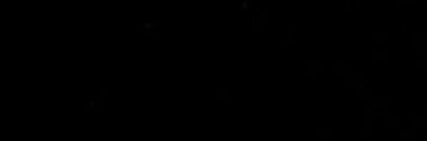 elaanrd's profile banner image
