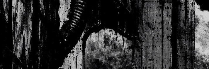 dckbat's profile banner image