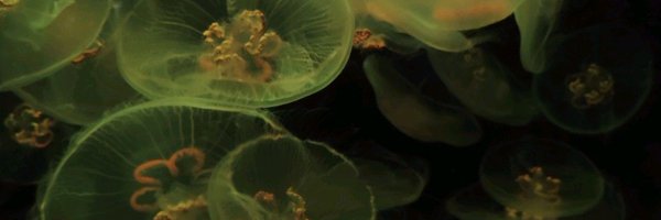 51exactly Profile Banner