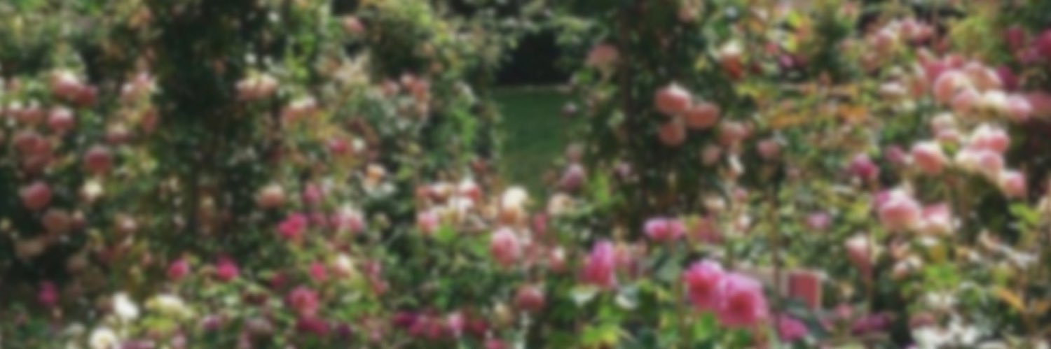 Estelle🪷 banner