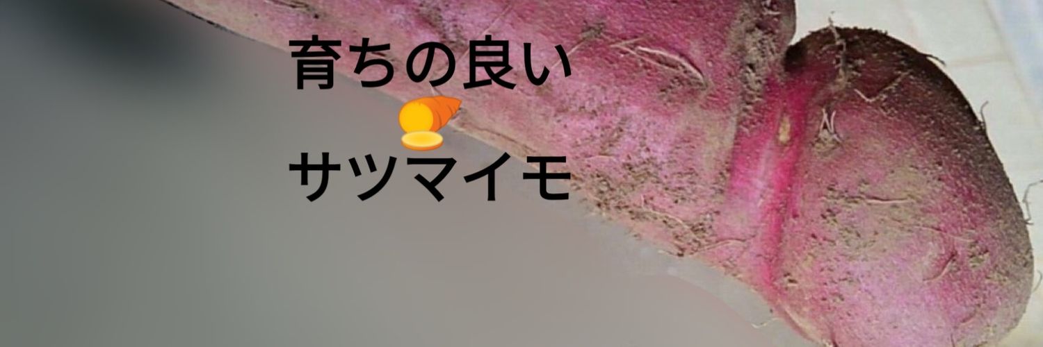 gpaithirsttrap's profile banner image