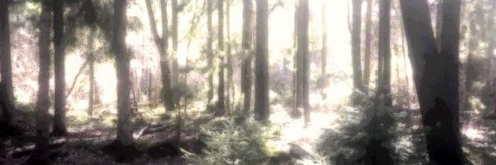 || Band-aid of shtwt 🩸 banner