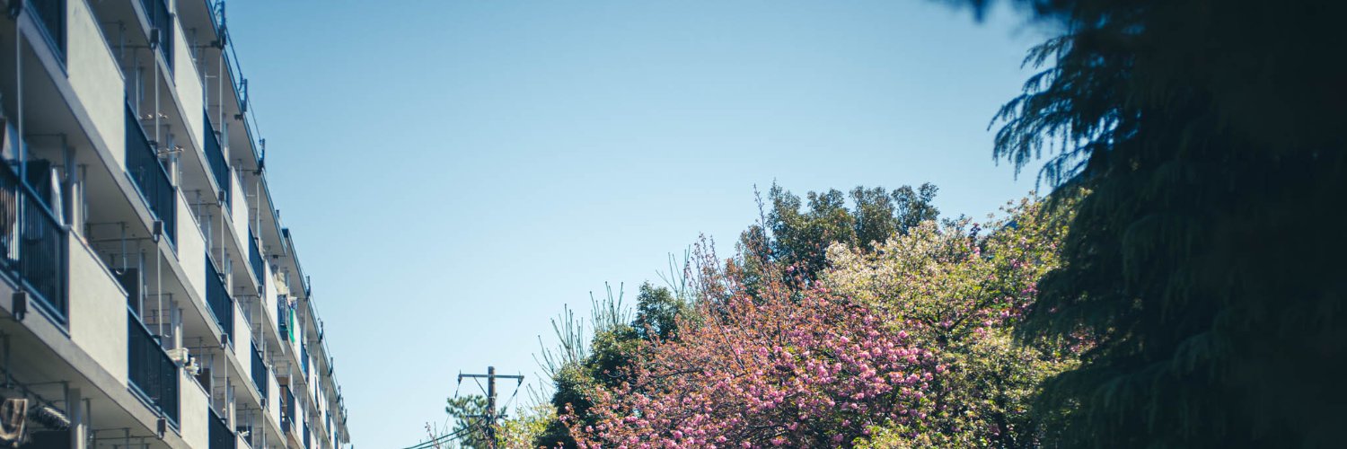August ✨🎧 banner