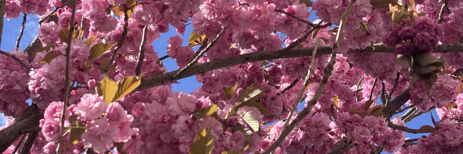 La Bruja 🇷🇪🇵🇪 banner