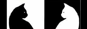Rhythmic_Spirit's profile banner image