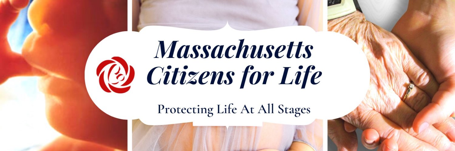 MassProLife's profile banner image