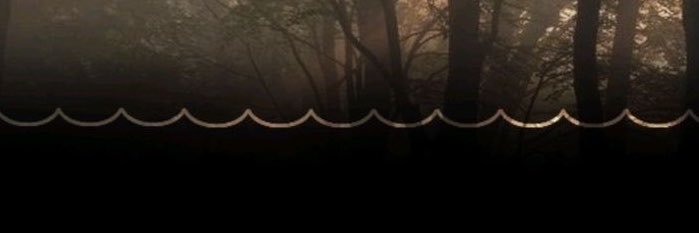 springonthelove's profile banner image