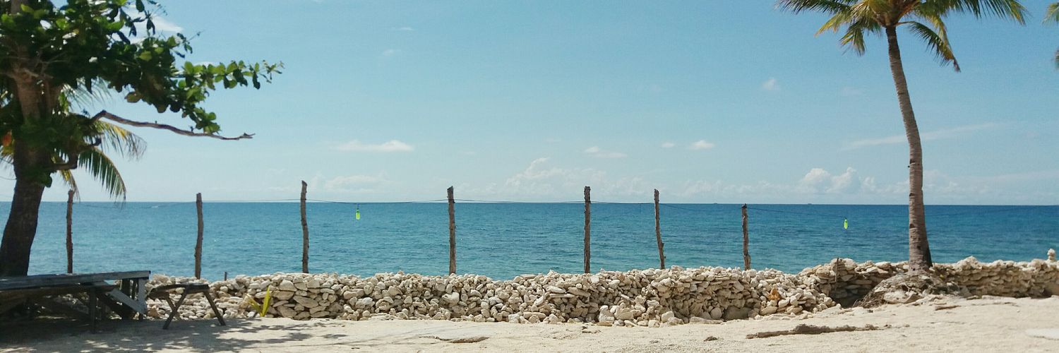 chuuudavid's profile banner image