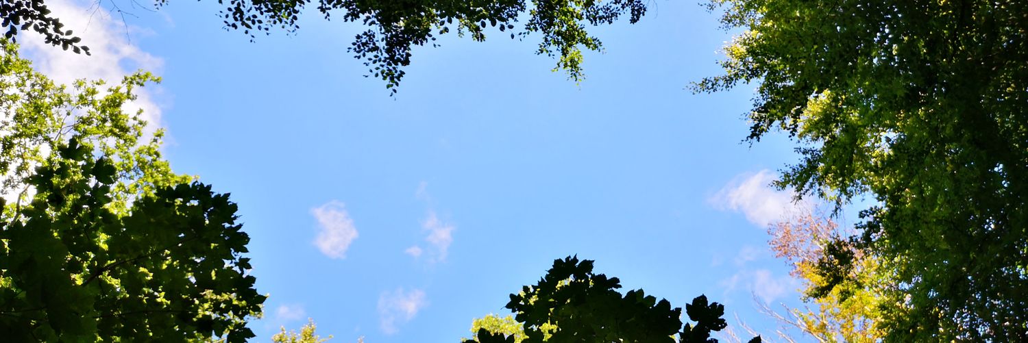marktonks's profile banner image