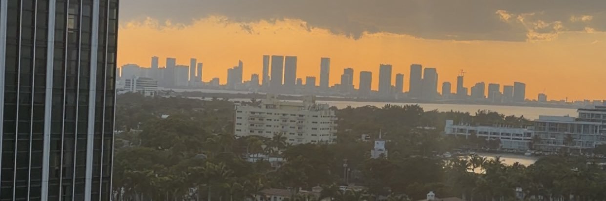 Marius Ferraro banner