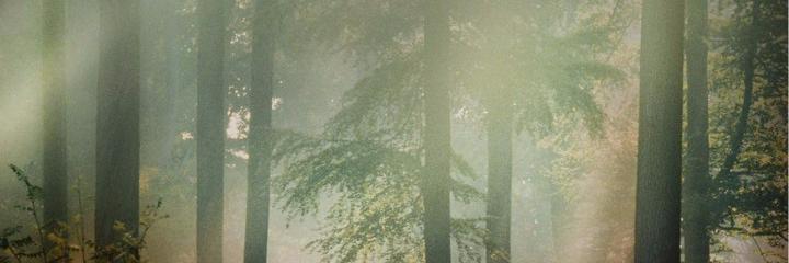 Climateclass's profile banner image