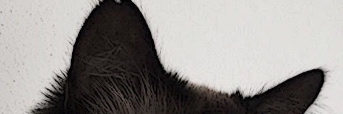 q1sa3x's profile banner image