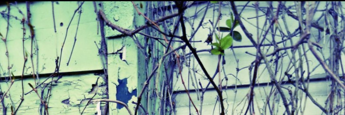 AlexaDorelle's profile banner image