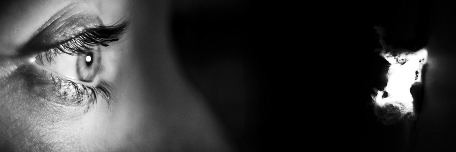 Flagras do Brasil banner
