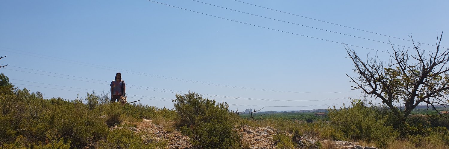 Ciaran O'Loughlin banner