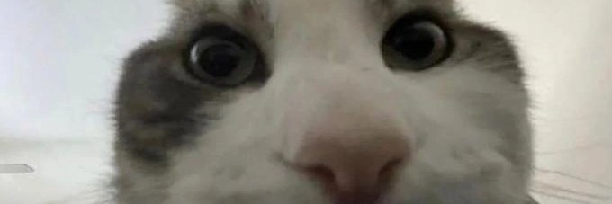 Faucet_Faced's profile banner image