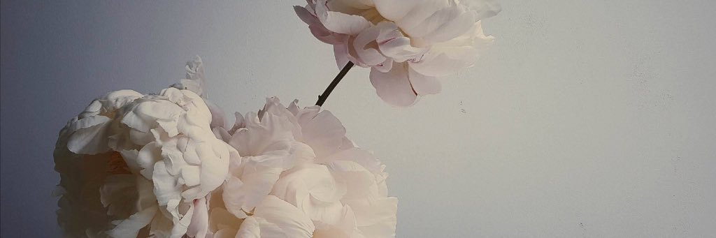 aado__'s profile banner image