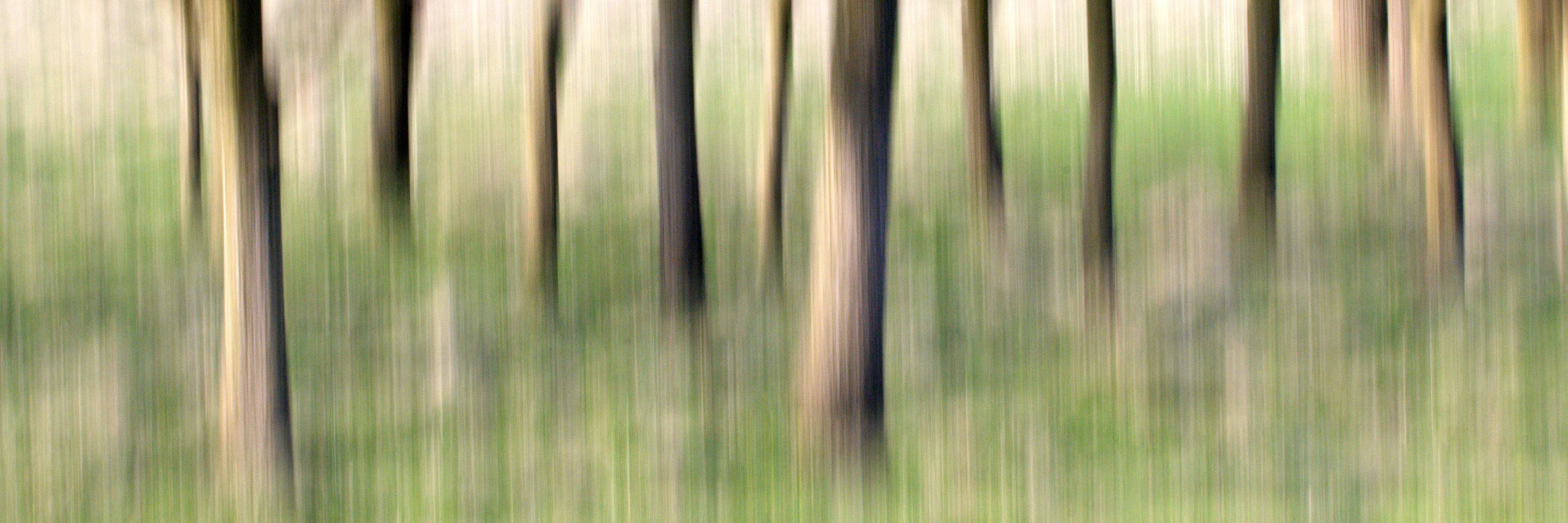 shackletonphoto's profile banner image
