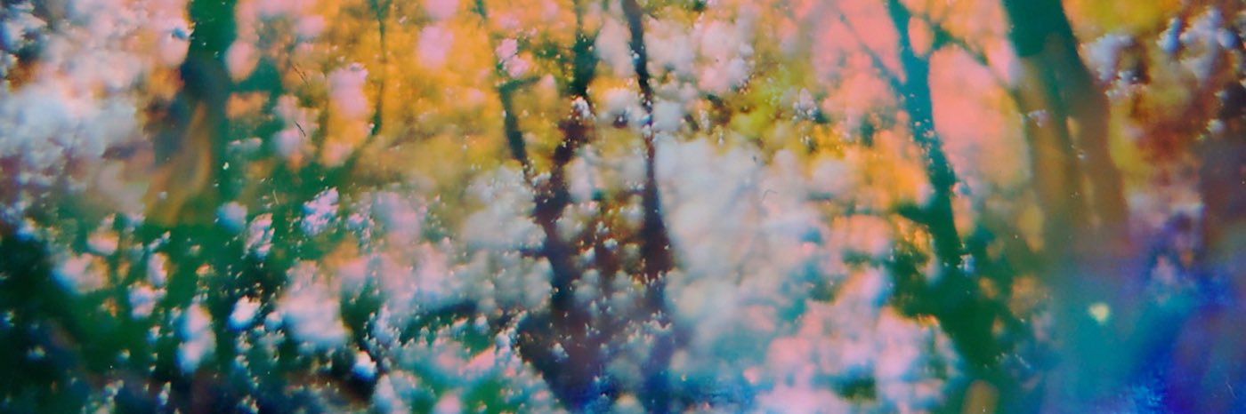daviddouglasmus's profile banner image