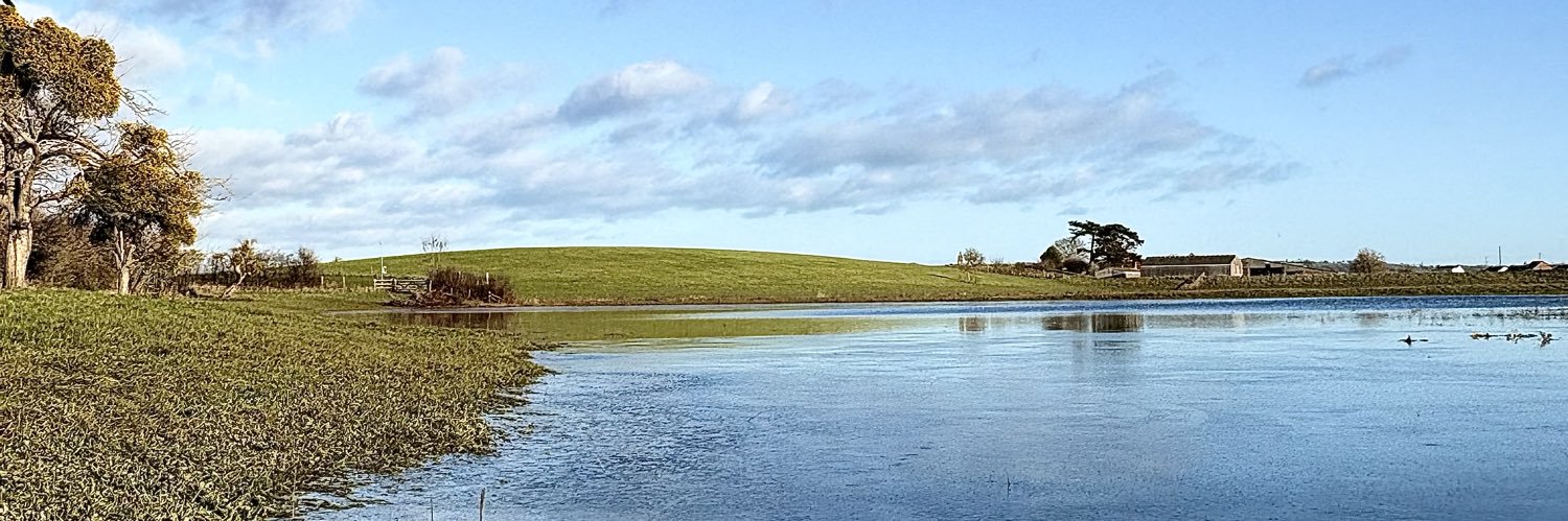 Gawain Towler banner