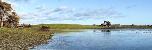 GHWTowler Profile Banner