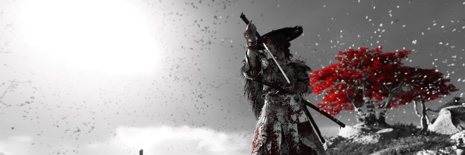 RaidenHides's profile banner image