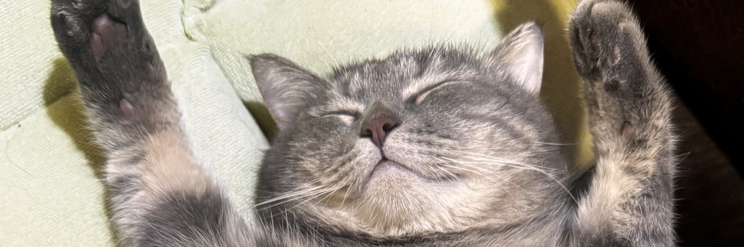 Tow_tt's profile banner image