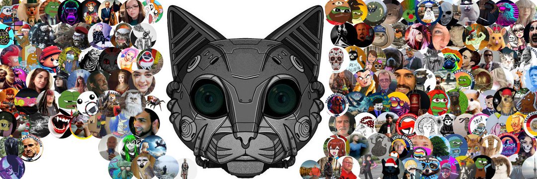 KittenRyle2011's profile banner image