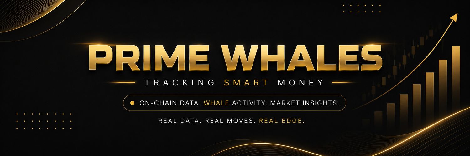 Prime Whales banner