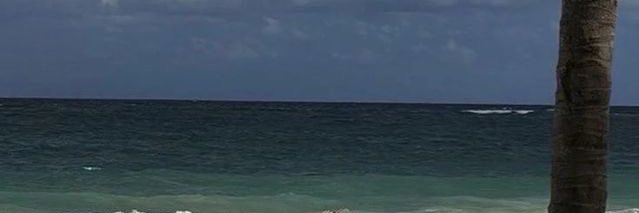 mlisvls's profile banner image