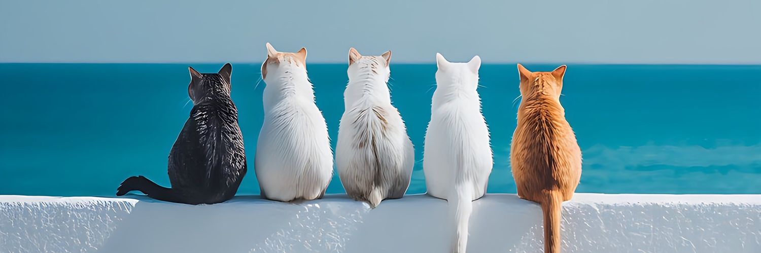 wmsanhh's profile banner image