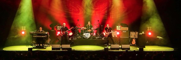 Camel_Andylat Profile Banner