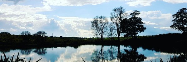 pumpkinfaeries Profile Banner