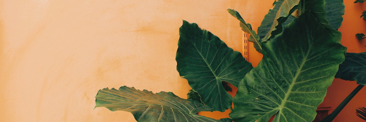 JessOrdonez's profile banner image