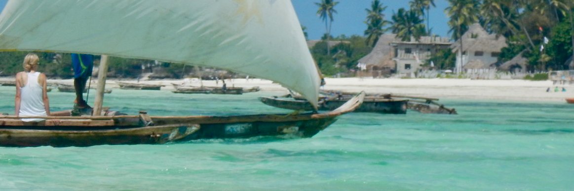 PPColasanti's profile banner image
