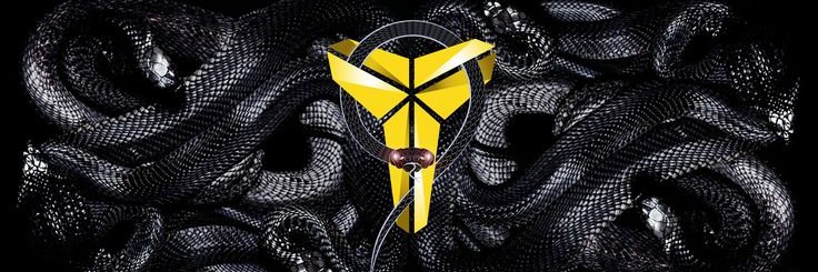 Mamba banner