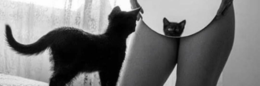 Becky__'s profile banner image