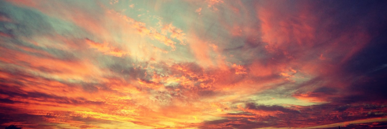 Danielle Starry banner