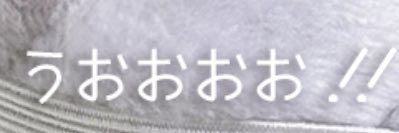ゥ星人おこじょ banner