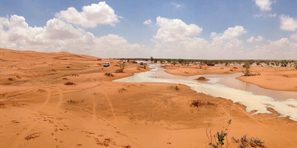 Saeed Alameri banner