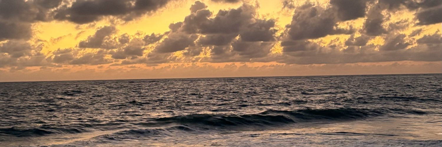 ximbers's profile banner image
