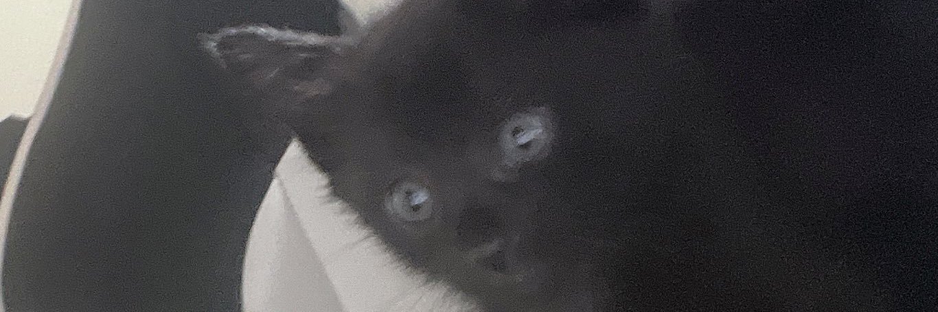 あまね✧︎(🕶) banner