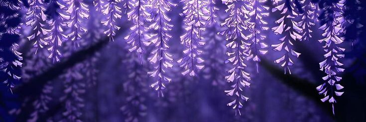 ineffa's first job as a pilot banner