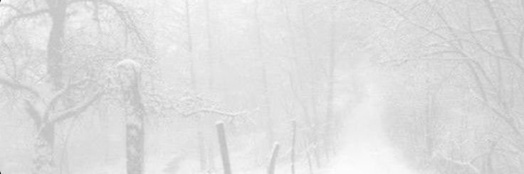 이메일 banner